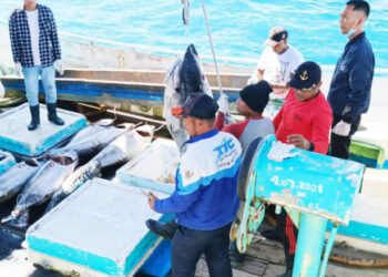 BPP dan 3 Kementerian Siapkan Penggabungan Sistem Kepelabuhan di Papua