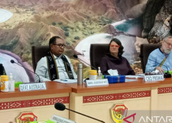 500.000 Ternak Babi di NTT Mati Akibat Virus ASF