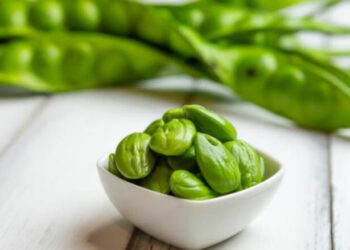 Petani Lumajang Ekspor Petai ke Malaysia Setiap Pekan