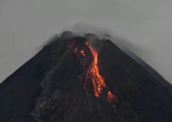 Gunung Merapi Luncurkan Enam Guguran Lava Selama Sepekan