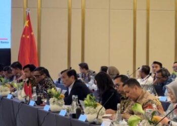 RI-China Perkuat Kerja Sama Investasi Lewat Forum Kemitraan Bisnis