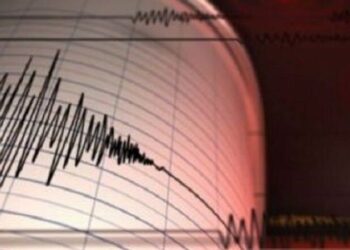 Tiga Korban Meninggal, Ratusan Terluka Akibat Gempa Terbaru di Turki