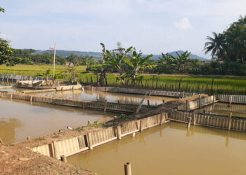 Bermasalahkah Bila Dana Desa Dibelikan Lahan untuk Petani Desa?