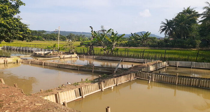 Bermasalahkah Bila Dana Desa Dibelikan Lahan untuk Petani Desa?