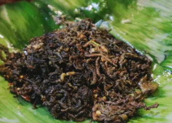 Hidangan Unik Nyale Khas Lombok, Hanya Ada Sekali Dalam Setahun