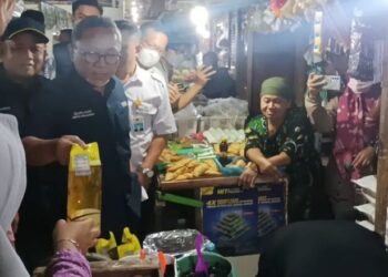 Mendag Zulkifli Hasan Larang Penjualan Daring Minyakita