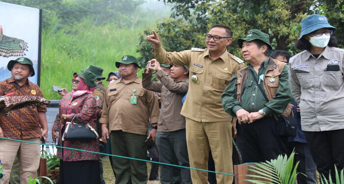Plt Bupati Bogor Lepasliarkan Elang Jawa sebagai Satwa Liar di TNGP