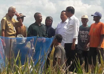 Presiden Minta Harga Beras Wajar