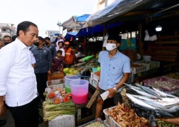Presiden akan tTnjau anen padi Hingga Smelter di Sulsel