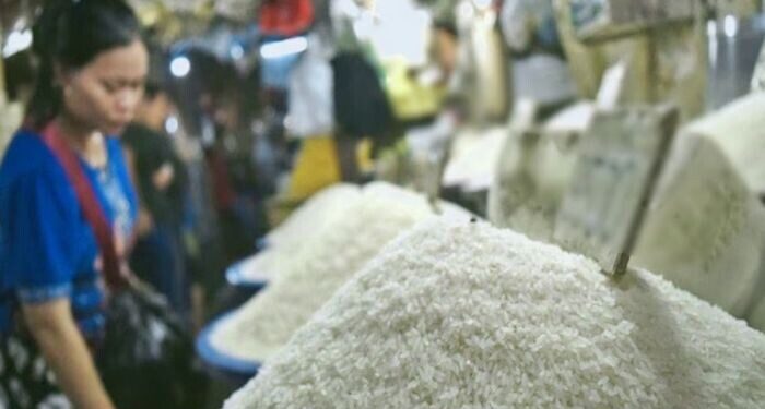 Anggota DPR Minta Pemerintah Tidak Terburu-buru Impor Beras