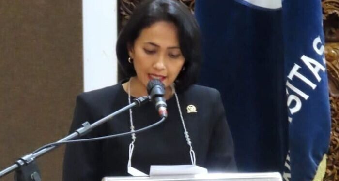 Anggota DPR akui Presiden Jokowi beri perhatian besar untuk Papua