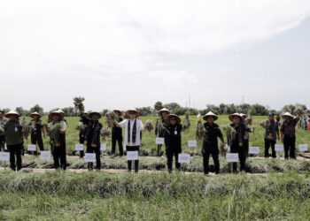 Jelang Ramadan dan Lebaran, Pemerintah Terus Jaga Ketersediaan Bawang Merah di Tengah Masyarakat