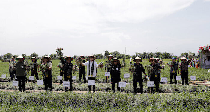Jelang Ramadan dan Lebaran, Pemerintah Terus Jaga Ketersediaan Bawang Merah di Tengah Masyarakat