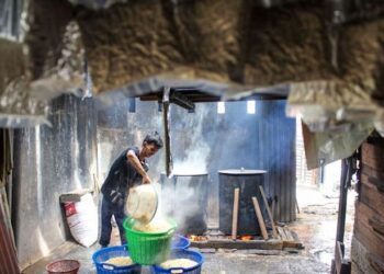 Ahli Gizi Ingatkan Masyarakat Tidak Berlebihan Mengonsumsi Tempe