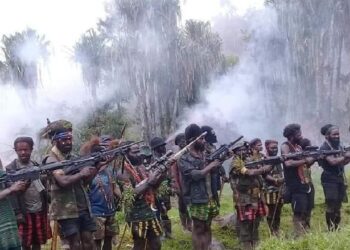 TNI Harap Semua Elemen Masyarakat Tidak Terpengaruh Ajakan KKB