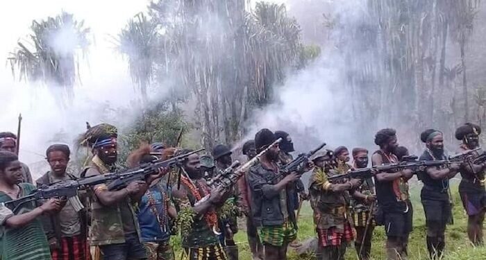 TNI Harap Semua Elemen Masyarakat Tidak Terpengaruh Ajakan KKB