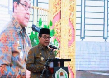 Investor Asing Berminat Bangun Pembangkit Listrik di Aceh Barat