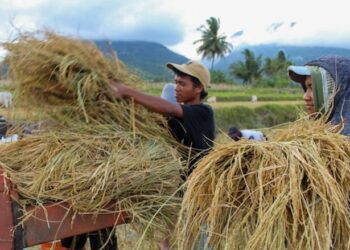 Kaum Milenial dan Pertanian Masa Depan