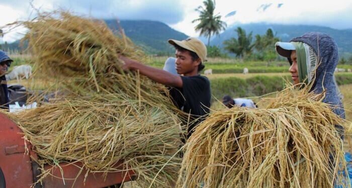 Kaum Milenial dan Pertanian Masa Depan