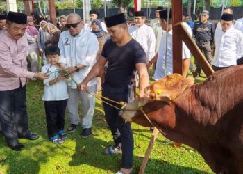 Ketua DPD RI AA LaNyalla Mahmud Mattalitti Serahkan Hewan Kurban Idul Adha