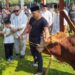Ketua DPD RI AA LaNyalla Mahmud Mattalitti Serahkan Hewan Kurban Idul Adha