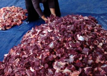 Tips dan Trik Menyimpan Daging Kurban Agar Tahan Lama