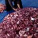 Tips dan Trik Menyimpan Daging Kurban Agar Tahan Lama