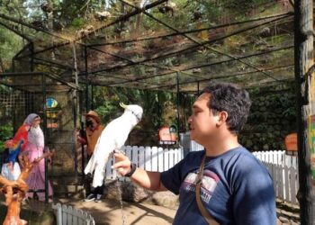 Cara Hidup Bersenang-senang Tanpa Berutang