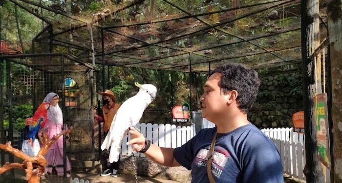 Cara Hidup Bersenang-senang Tanpa Berutang