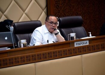 Junimart Minta Pemerintah Buat Aturan dan Pengawasan Anggaran Pengentasan Stunting