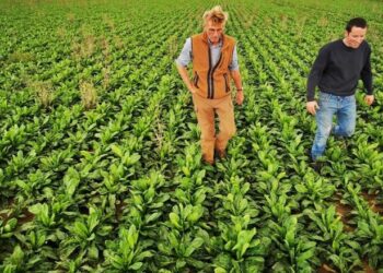 Komisi Eropa Tuntaskan Paket Bantuan untuk Petani Uni Eropa