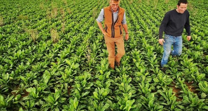 Komisi Eropa Tuntaskan Paket Bantuan untuk Petani Uni Eropa