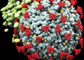 COVID-19 di China Memuncak Lagi, Sebulan 164 Orang Tewas