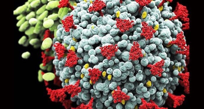 COVID-19 di China Memuncak Lagi, Sebulan 164 Orang Tewas