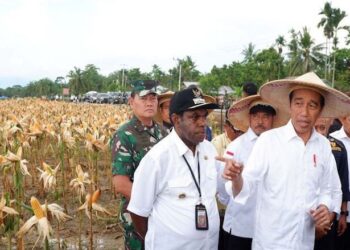 Presiden Dijadwalkan Temui Pelajar dan Resmikan Papua Street Carnival