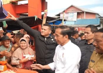 Istana Jelaskan Video Paspampres Tarik Lengan Bupati Bengkulu Utara