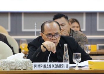 Pimpinan Komisi II DPR Junimart Girsang Tegaskan Penundaan Pilkada Bukan Ranah Bawaslu