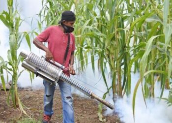 Bangladesh Hadapi Wabah DBD Mematikan dalam Lima Tahun Terakhir