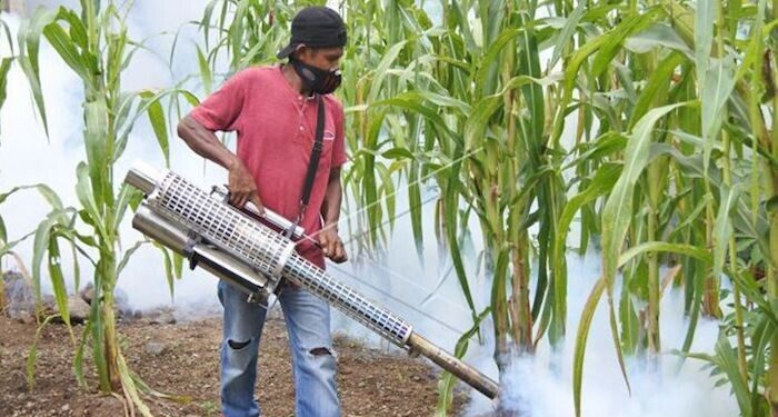 Bangladesh Hadapi Wabah DBD Mematikan dalam Lima Tahun Terakhir