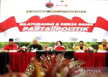 PDIP