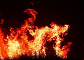 BMKG: Masyarakat Kalimantan agar Mewaspadai Kebakaran Hutan dan Lahan