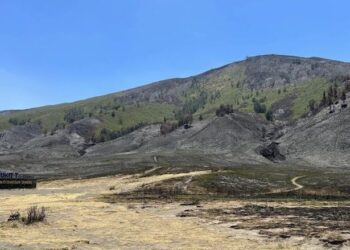 Kerugian Akibat Kebakaran Lahan di Bromo Diperkirakan Rp 5,4 miliar
