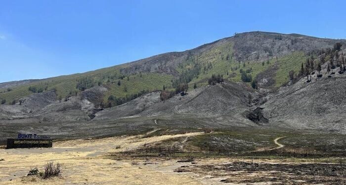 Kerugian Akibat Kebakaran Lahan di Bromo Diperkirakan Rp 5,4 miliar