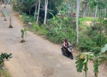 Warga melintas di jalan antardesa yang ditanami pohon pisang karena kondisi rusak parah d Desa Pule, Trenggalek, Jumat (22/9/2023).