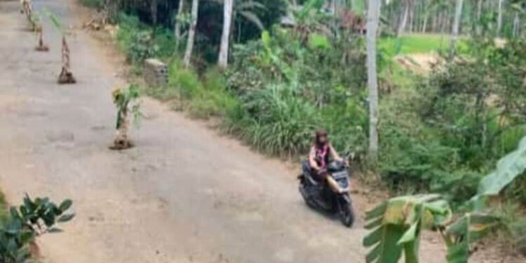 Warga melintas di jalan antardesa yang ditanami pohon pisang karena kondisi rusak parah d Desa Pule, Trenggalek, Jumat (22/9/2023).