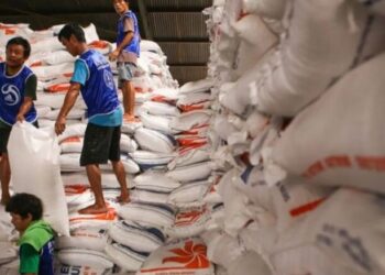 Bapanas Perkuat Tata Kelola Guna Percepat Penyaluran Bantuan Beras