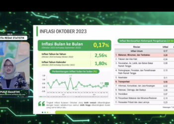 BPS: Transportasi Penyumbang Inflasi Terbesar Pada Oktober 2023