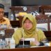 Komisi XI DPR RI : BRILink Permudah Masyarakat Lakukan Peminjaman