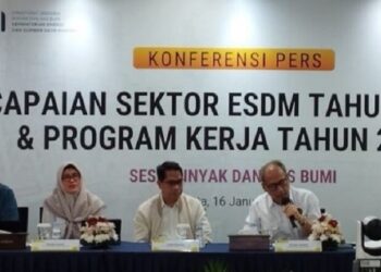 ESDM