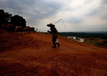 BTN Usulkan Skema KPR 35 Tahun dengan Skema Bunga Berjenjang
